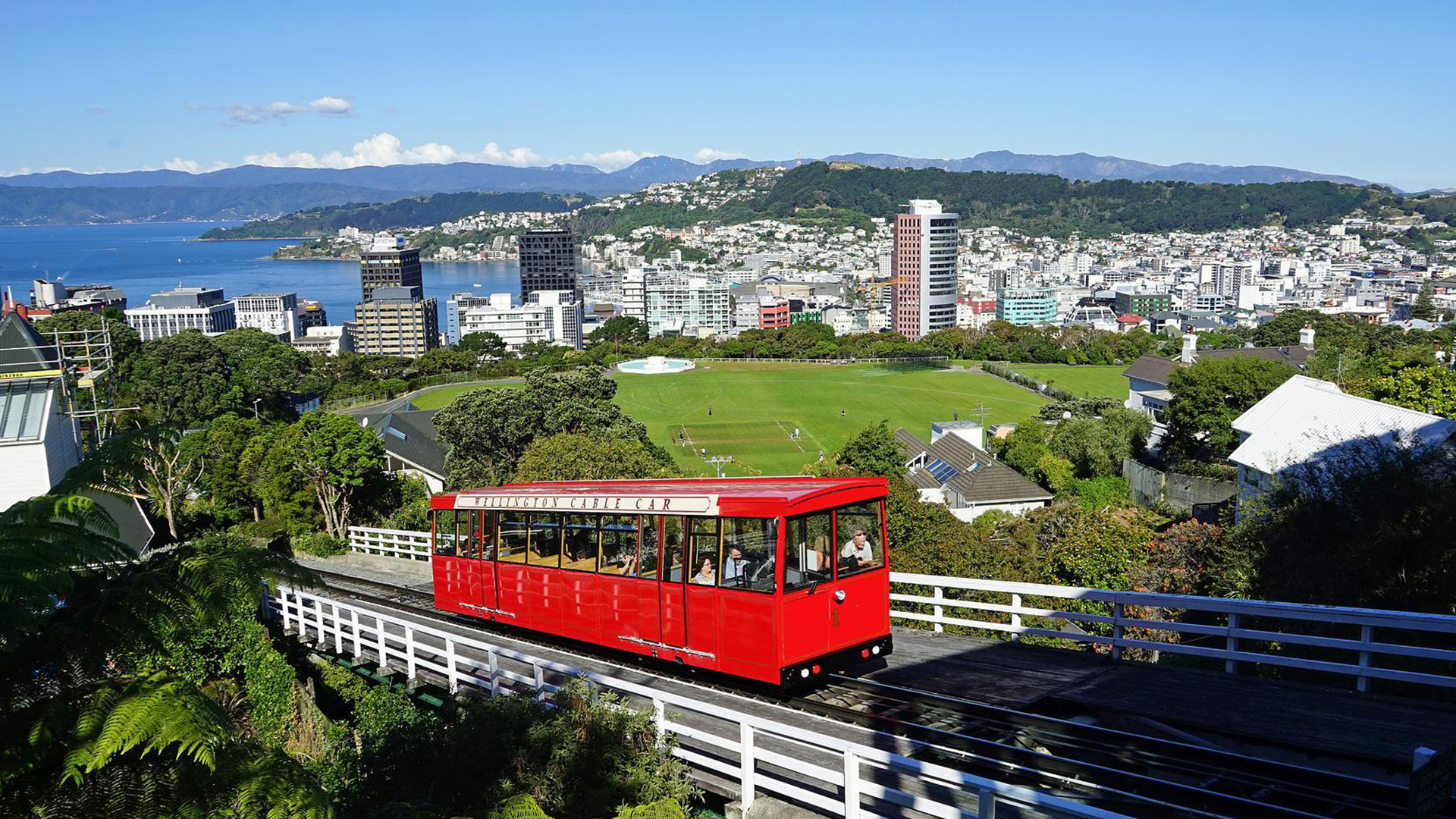 Auswandern Neuseeland - Wellington