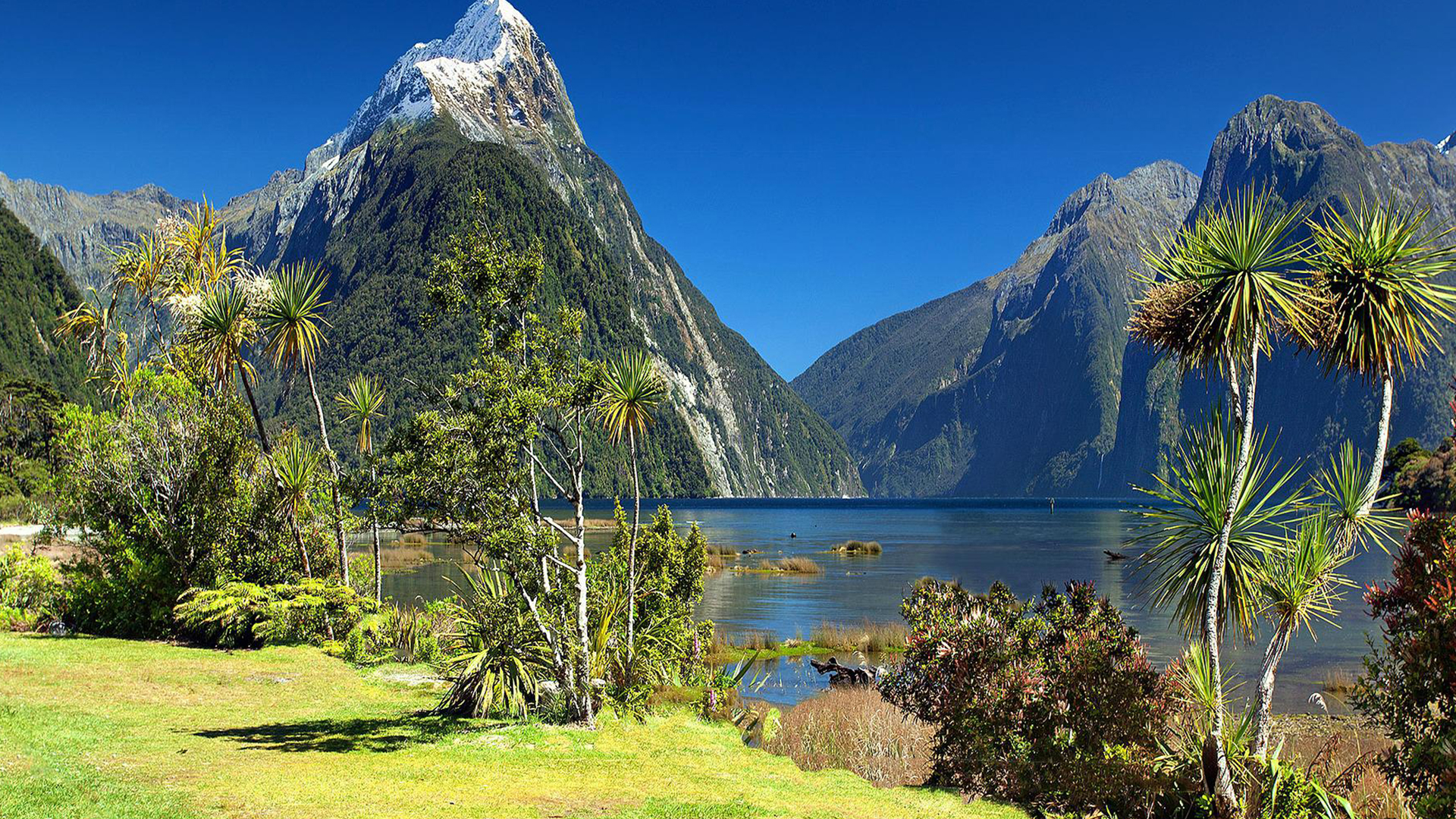 Neuseeland Klima und Landschaft