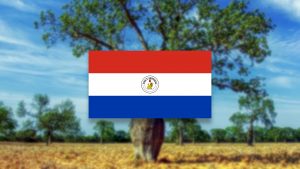 Read more about the article Auswandern nach Paraguay – Neuanfang in Freiheit auf der südlichen Erdhalbkugel?